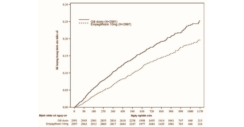 Hình 13. Thời gian đến khi xảy ra biến cố nhập viện do suy tim được thẩm định