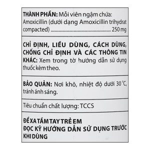 Viên ngậm Amoxicillin Domesco 250mg trị nhiễm trùng do vi khuẩn nhạy cảm lọ 100 viên
