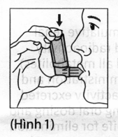 Hình 1 Giữ bình xịt, ngậm môi xung quanh ống ngậm