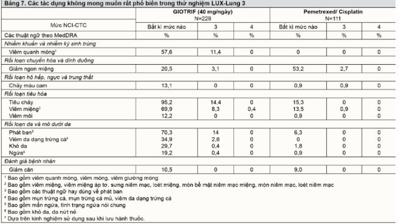 Giotrif 40mg điều trị ung thư phổi không tế bào nhỏ (4 vỉ x 7 viên)