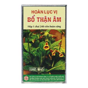 Hoàn Lục Vị Bổ Thận Âm giảm mỏi gối, mồ hôi trộm chai 240 viên