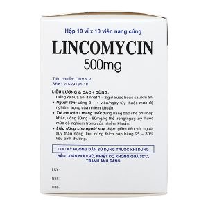 Lincomycin Vidipha 500mg trị nhiễm khuẩn nặng (10 vỉ x 10 viên)