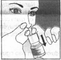 Hình 5. Lặp lại bước