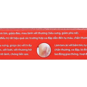 Long Huyết P/H trị sưng đau, bầm tím (2 vỉ x 12 viên)